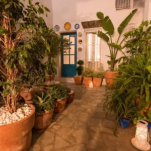 https://casas-trafalgar.es-andalucia.com
